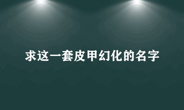 求这一套皮甲幻化的名字