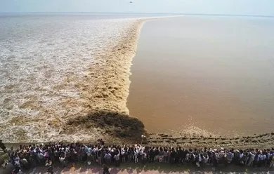 朱明元