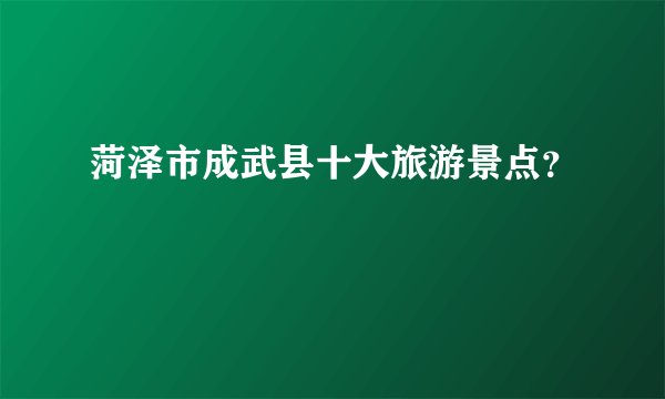 菏泽市成武县十大旅游景点？