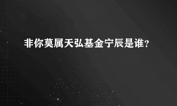非你莫属天弘基金宁辰是谁？