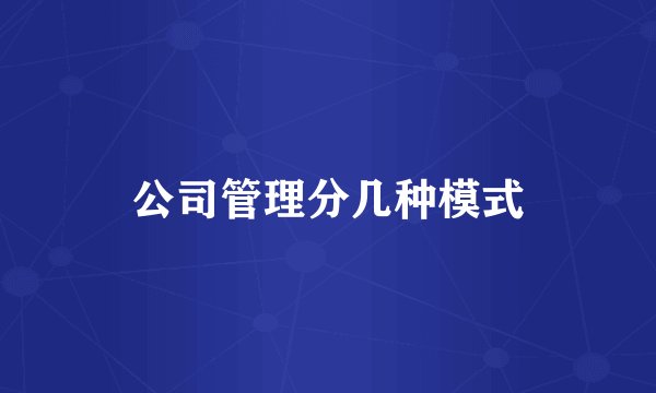 公司管理分几种模式