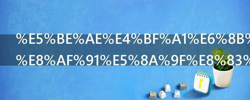 微信拍照翻译功能在哪