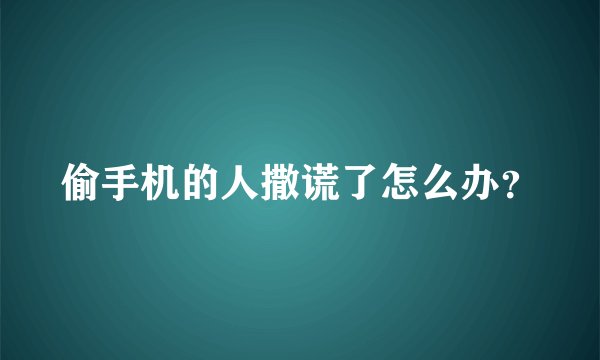 偷手机的人撒谎了怎么办？
