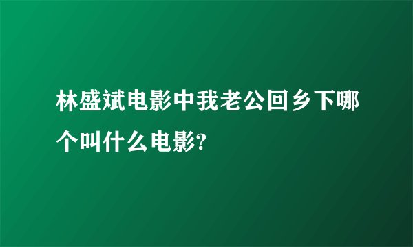 林盛斌电影中我老公回乡下哪个叫什么电影?