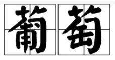 葡的拼音和词语