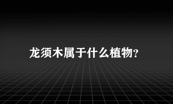 龙须木属于什么植物？