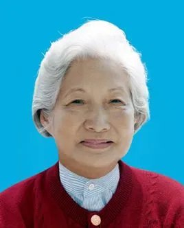 杨鉴清的人物简介