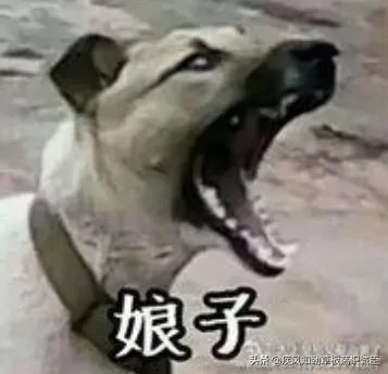曼城被狼队大逆转,争冠更没戏,瓜帅提前换下德布劳内是输球主要原因吗?