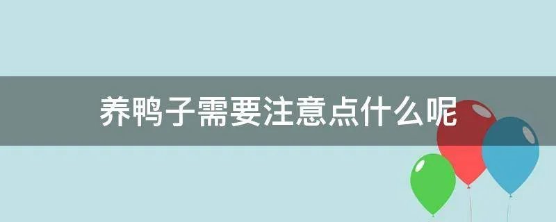 养鸭子需要注意点什么呢