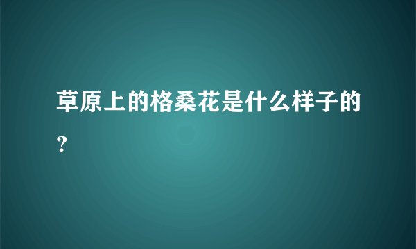 草原上的格桑花是什么样子的？