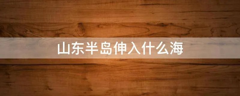 山东半岛伸入什么海