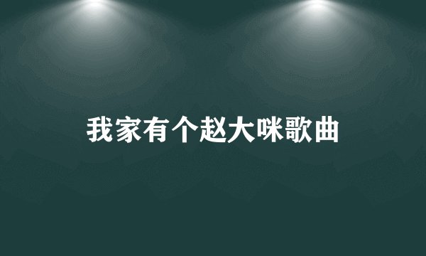 我家有个赵大咪歌曲