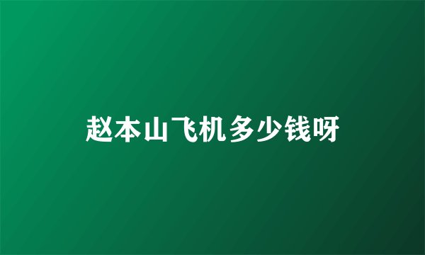 赵本山飞机多少钱呀