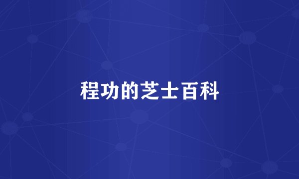 程功的芝士百科