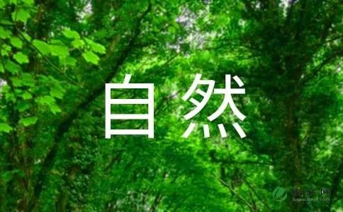 自然现象的作文