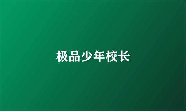 极品少年校长