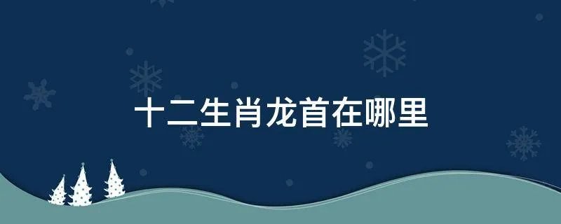 十二生肖龙首在哪里