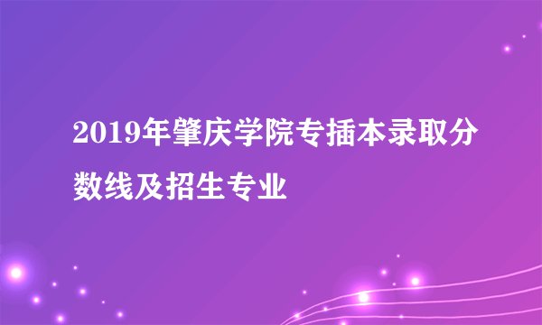 2019年肇庆学院专插本录取分数线及招生专业
