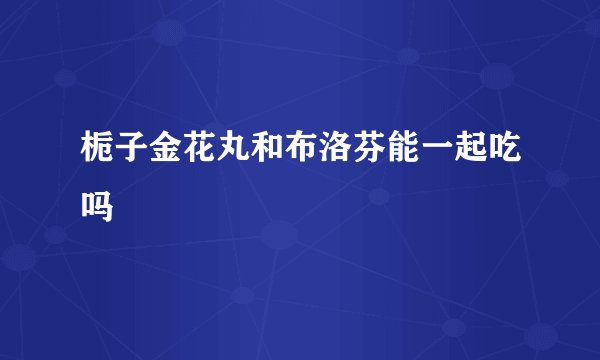 栀子金花丸和布洛芬能一起吃吗