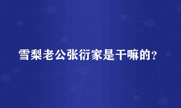 雪梨老公张衍家是干嘛的？