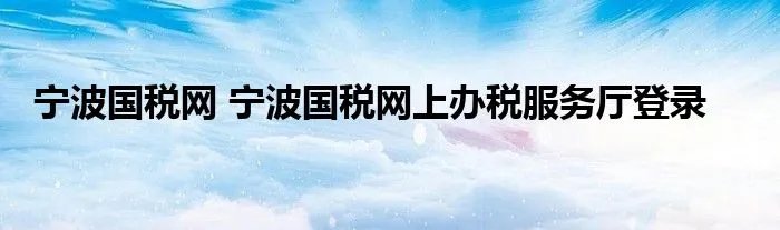 宁波国税网 宁波国税网上办税服务厅登录
