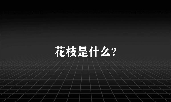 花枝是什么?