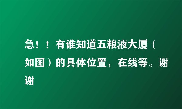 急！！有谁知道五粮液大厦（如图）的具体位置，在线等。谢谢