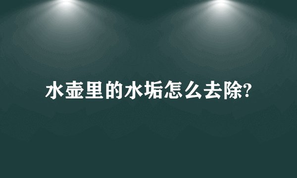 水壶里的水垢怎么去除?
