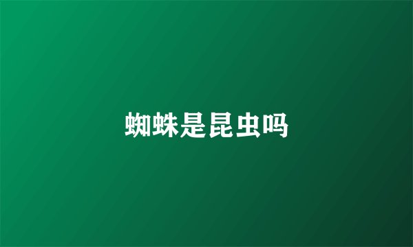 蜘蛛是昆虫吗