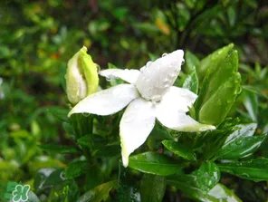 2017年梅雨季节是几月?2017年梅雨季节是什么时候?