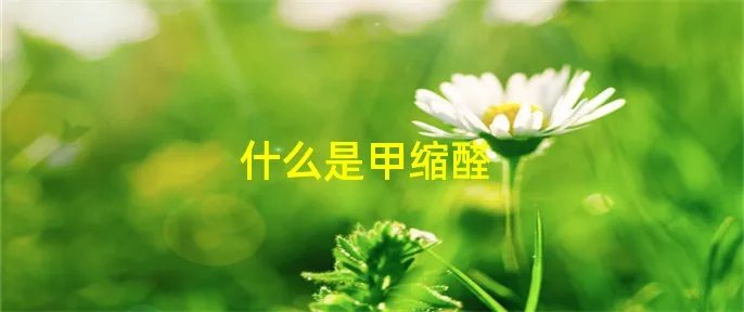 什么是甲缩醛