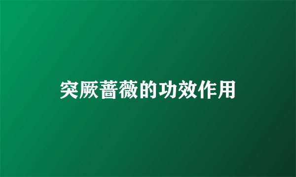突厥蔷薇的功效作用