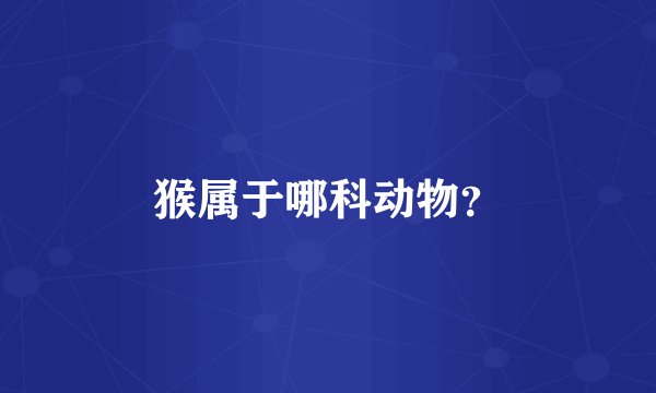 猴属于哪科动物?