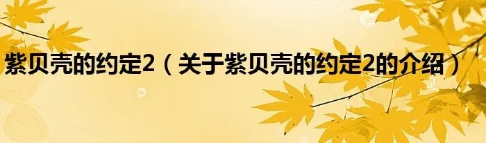 紫贝壳的约定2（关于紫贝壳的约定2的介绍）