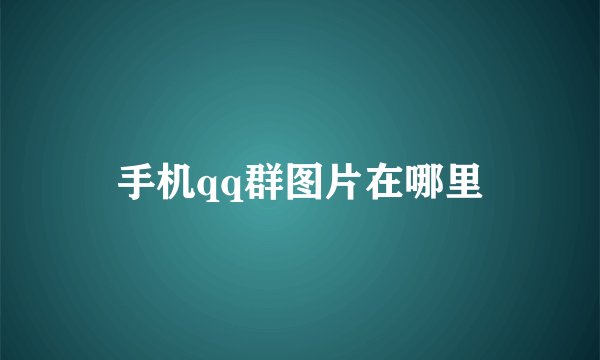手机qq群图片在哪里