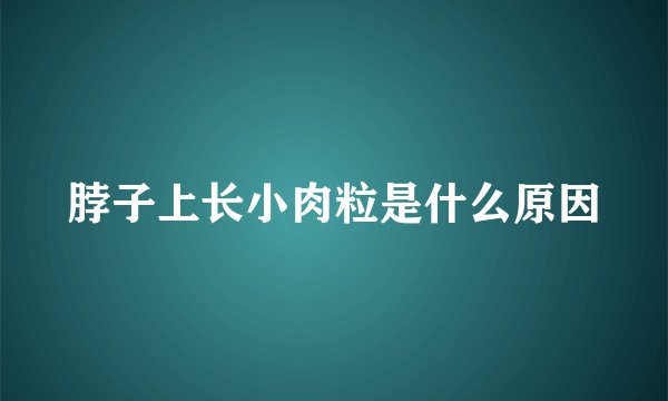 脖子上长小肉粒是什么原因