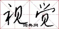 视觉