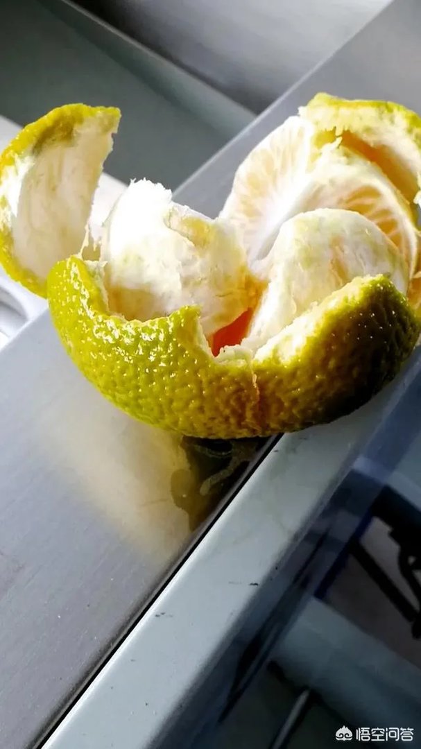 江西赣南脐橙和四川的