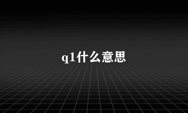 q1什么意思