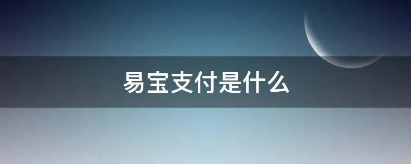 易宝支付是什么