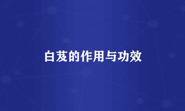 白芨的作用与功效