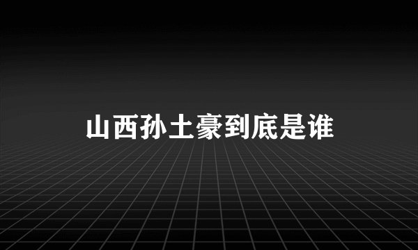 山西孙土豪到底是谁