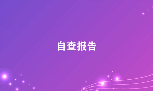 自查报告