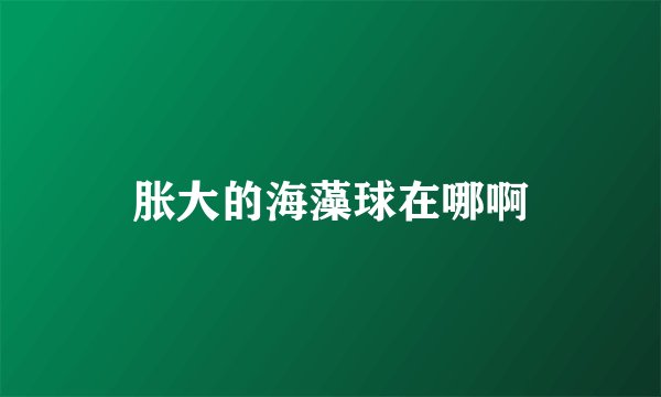 胀大的海藻球在哪啊