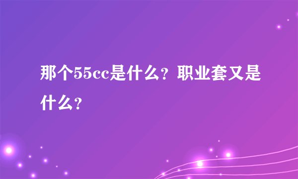 那个55cc是什么？职业套又是什么？