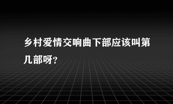 乡村爱情交响曲下部应该叫第几部呀？