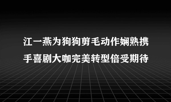 江一燕为狗狗剪毛动作娴熟携手喜剧大咖完美转型倍受期待