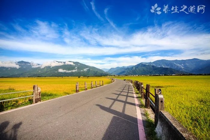 你好 我得是16款帕萨特 香槟色 想贴电镀膜 有没有这个颜色