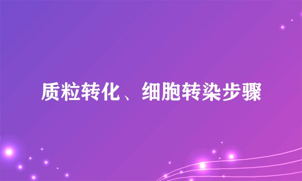 质粒转化、细胞转染步骤
