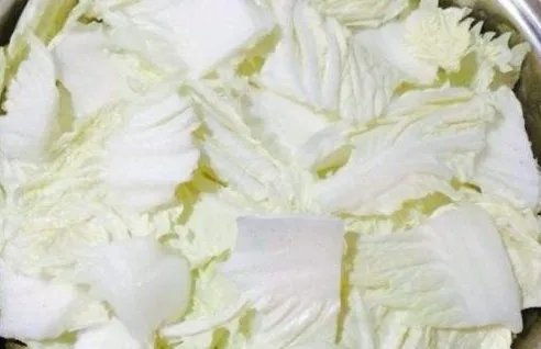 猪肉白菜炖粉条怎么做啊？